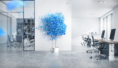 Office Space Concept with Ambiq Face Blue Plant