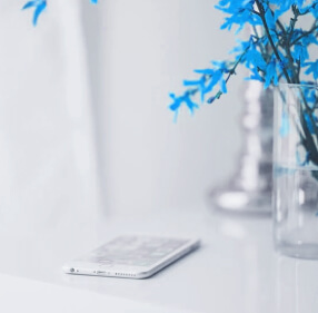 Smartphone on a table next to blue plant