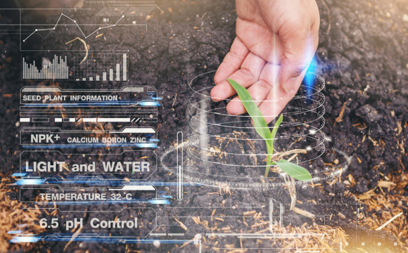 IoT Solutions for Food Production