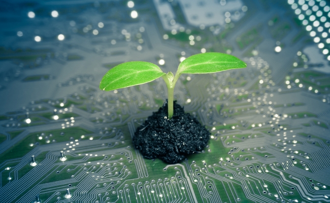 Sustainable Electronics Lifecycle Management