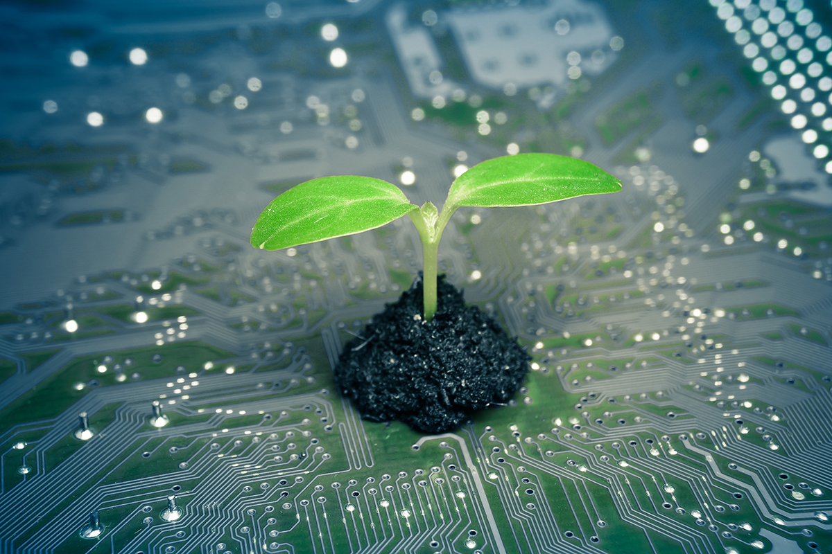 Sustainable Electronics Lifecycle Management