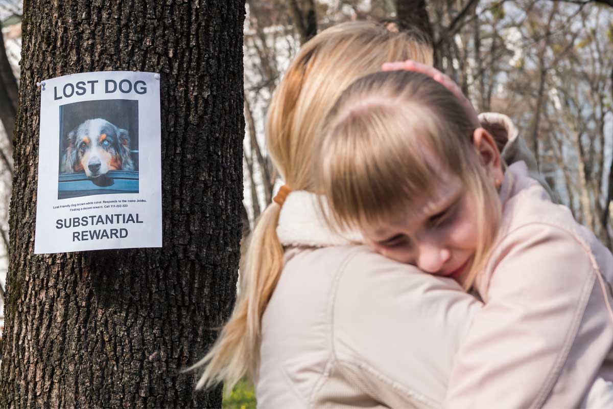 Mom calms girl who lost dog