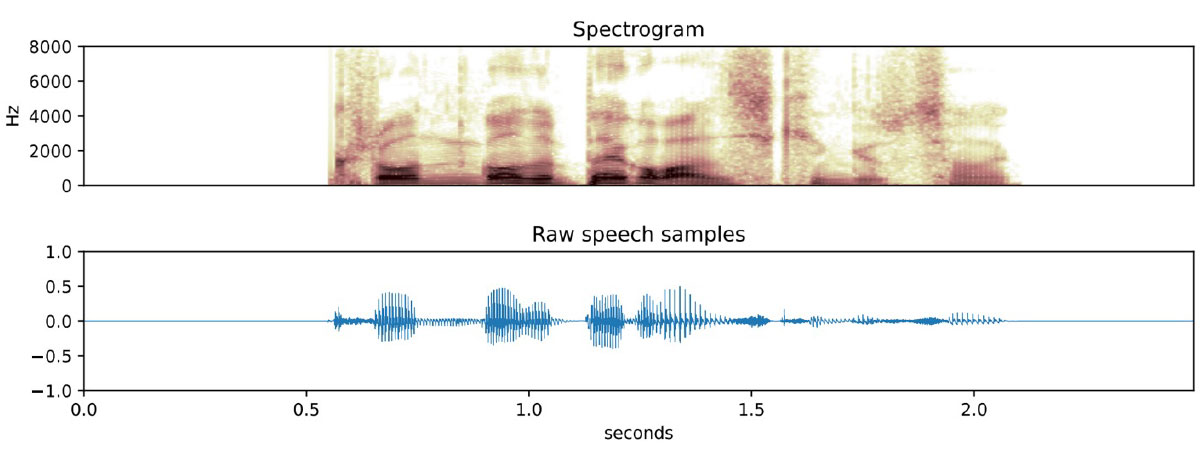 Spectrogram and Raw Speech Samples