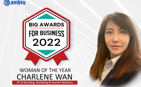 BIG Awards for Business Woman of the Year 2022