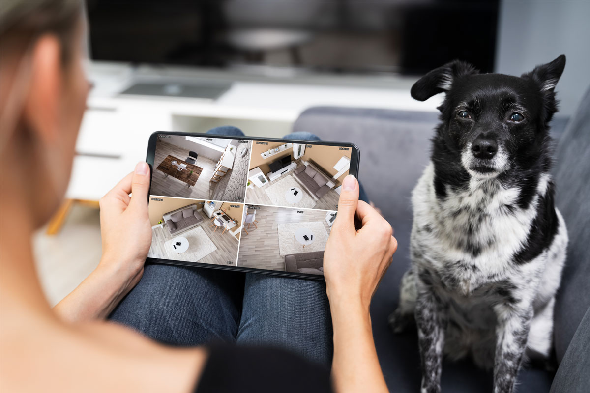 image of a helicopter pawrent monitoring his dog on his iPad