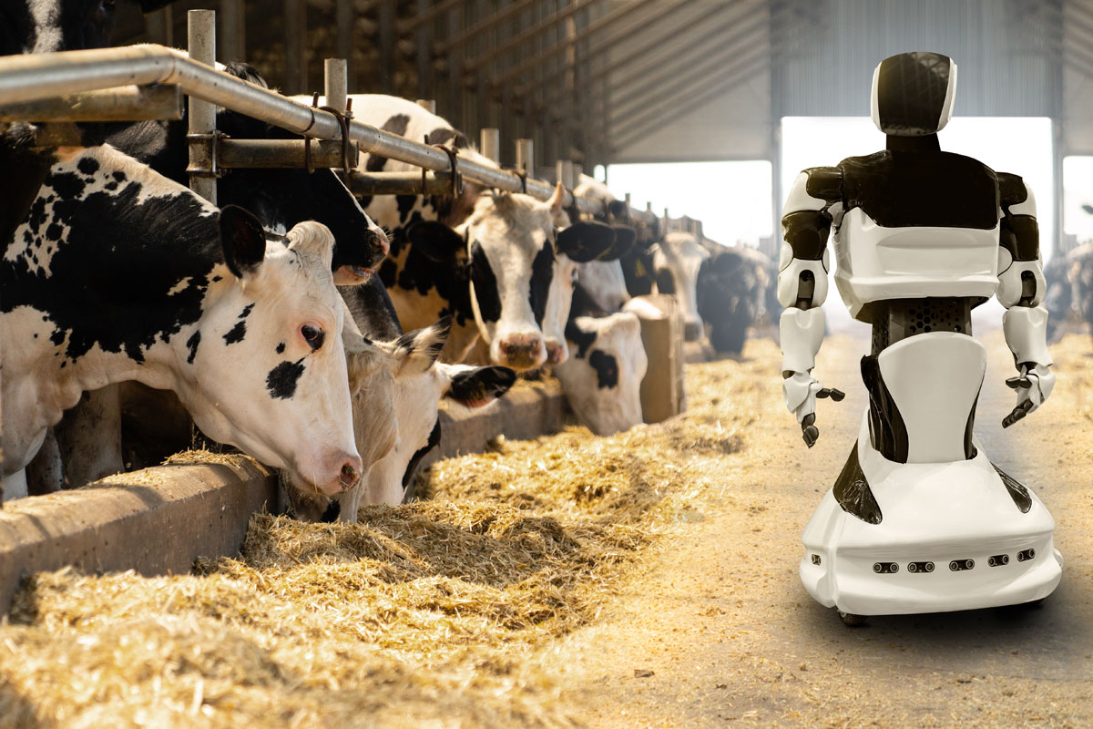 Robot monitoring a dairy farm
