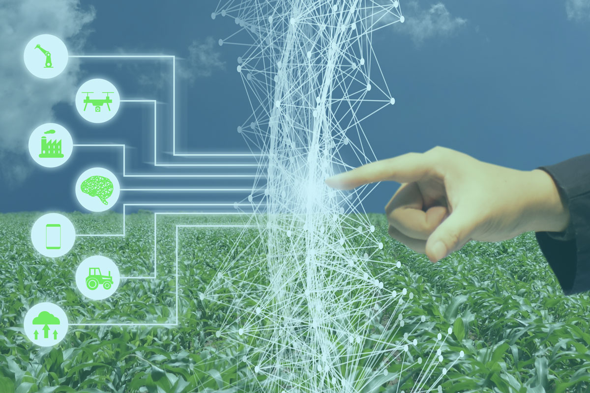 How AI Technology Is Revolutionizing Agriculture - Ambiq