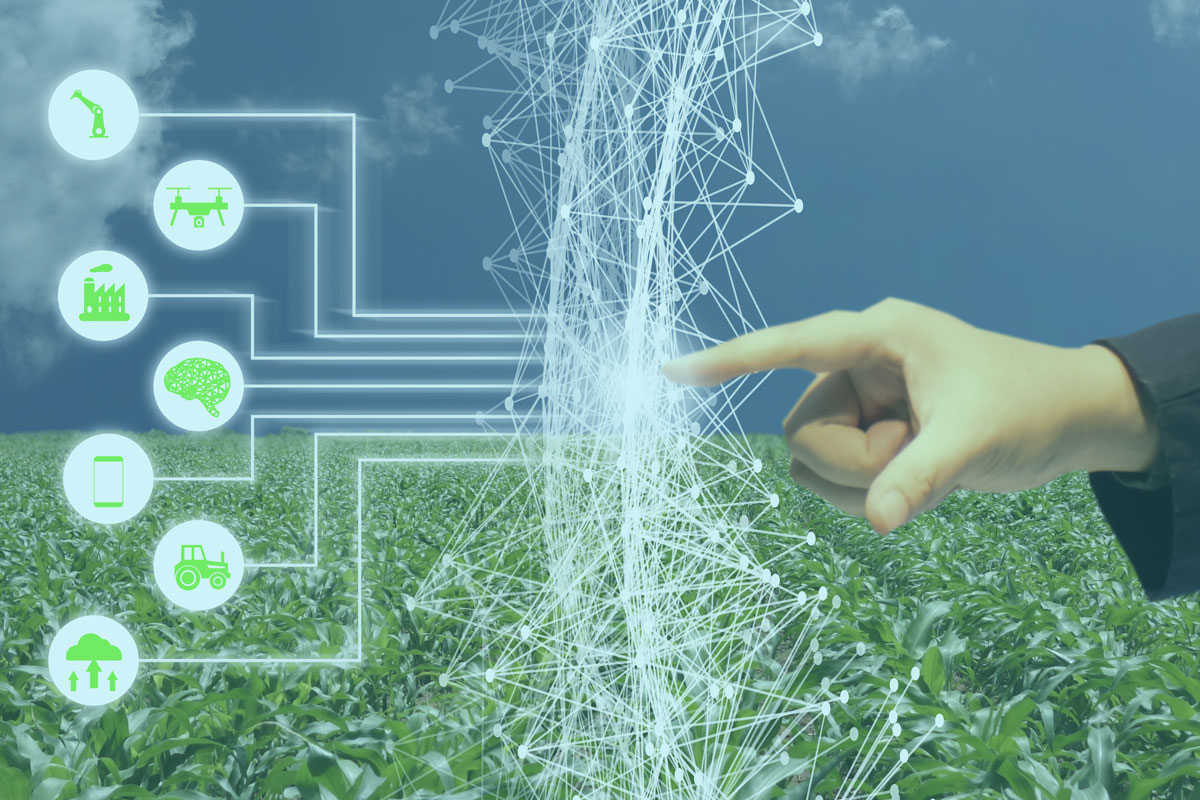 How AI Technology Is Revolutionizing Agriculture Ambiq