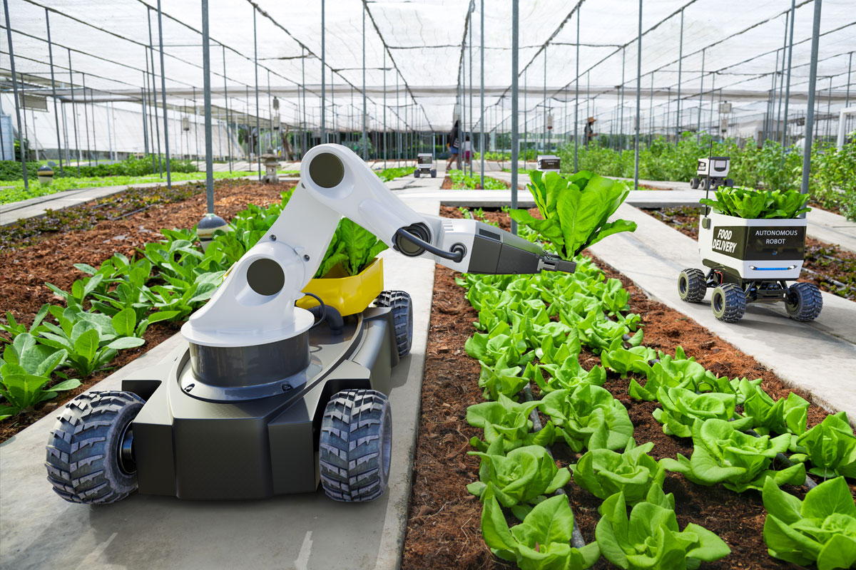 Robot in smart indoor farm
