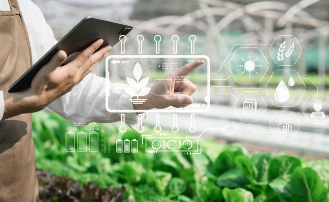 Smart indoor farming concept with farmer and tablet