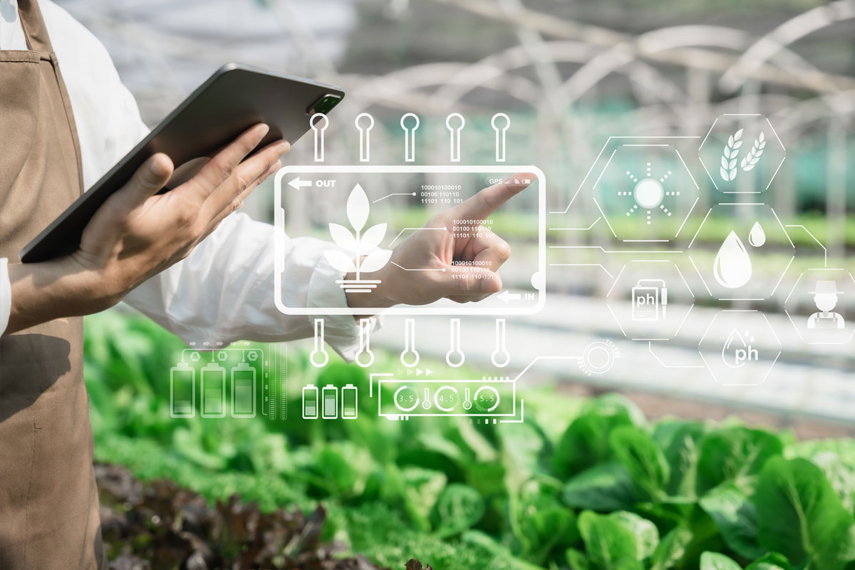 Smart indoor farming concept with farmer and tablet