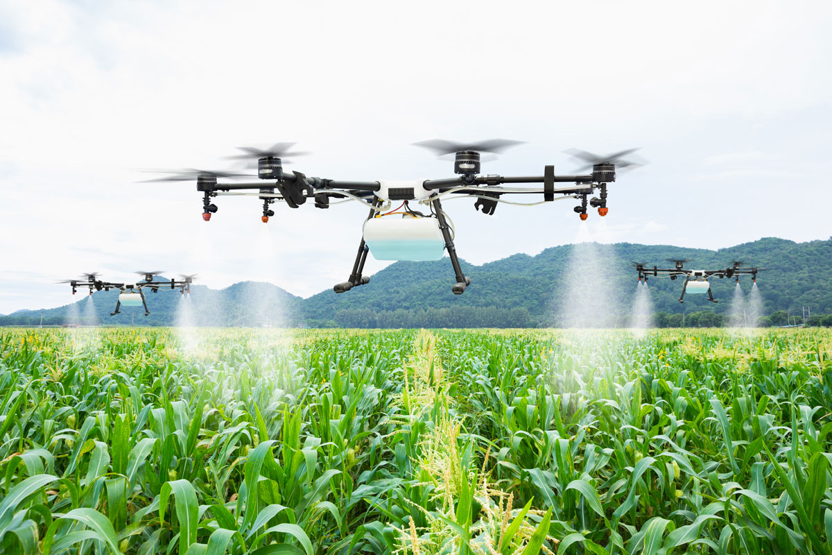 AgriDrone spraying a cornfield