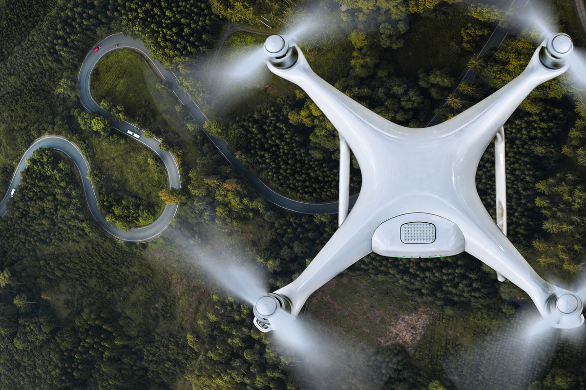 Drone monitoring a forest