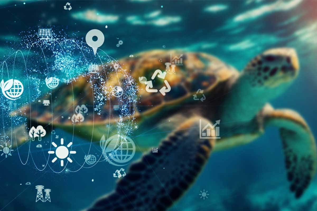 Using-Data-Based-Sensors-and-Technology-for-Marine-Conservation-and-Safety ---Sea-Turtles