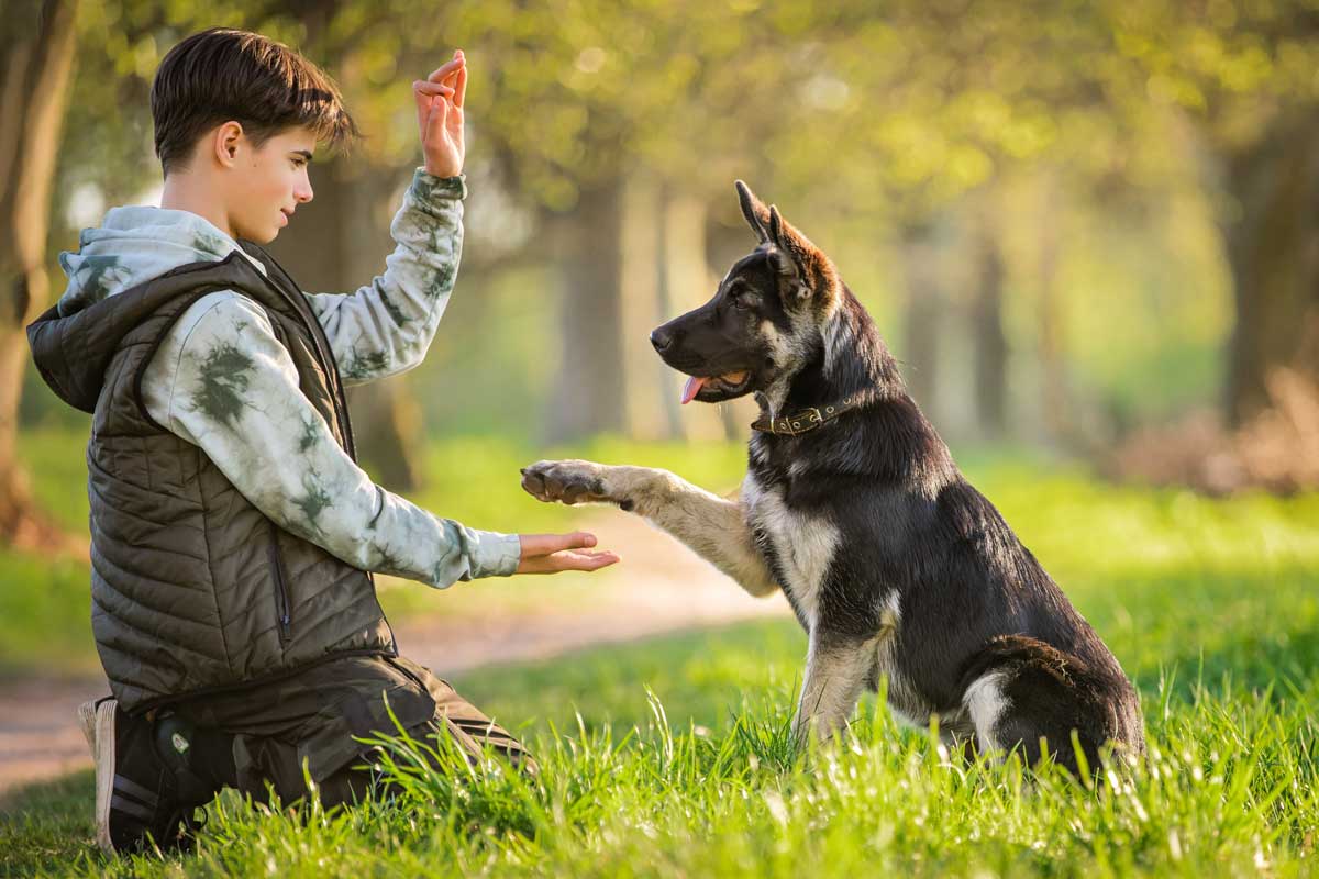 Pardon-My-Woof----Will-AI-Help-Humans-Talk-to-Animals-Blog---Boy-with-dog