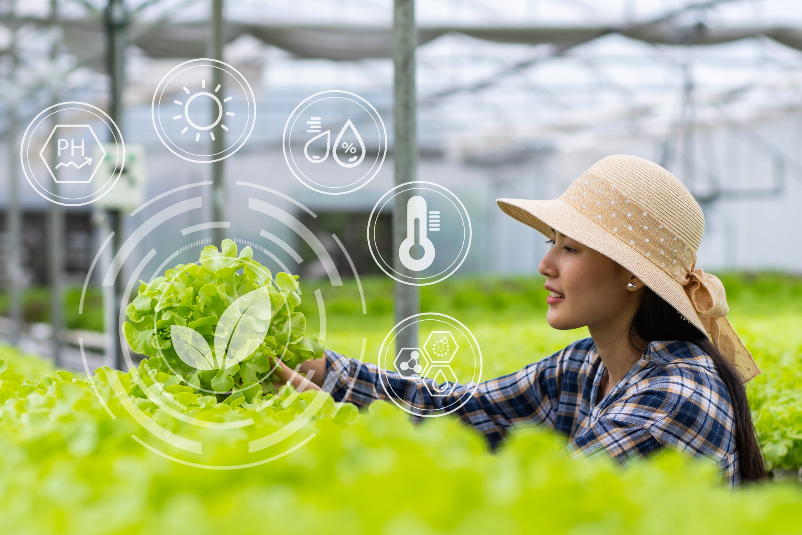 AdobeStock 282216814 scaled